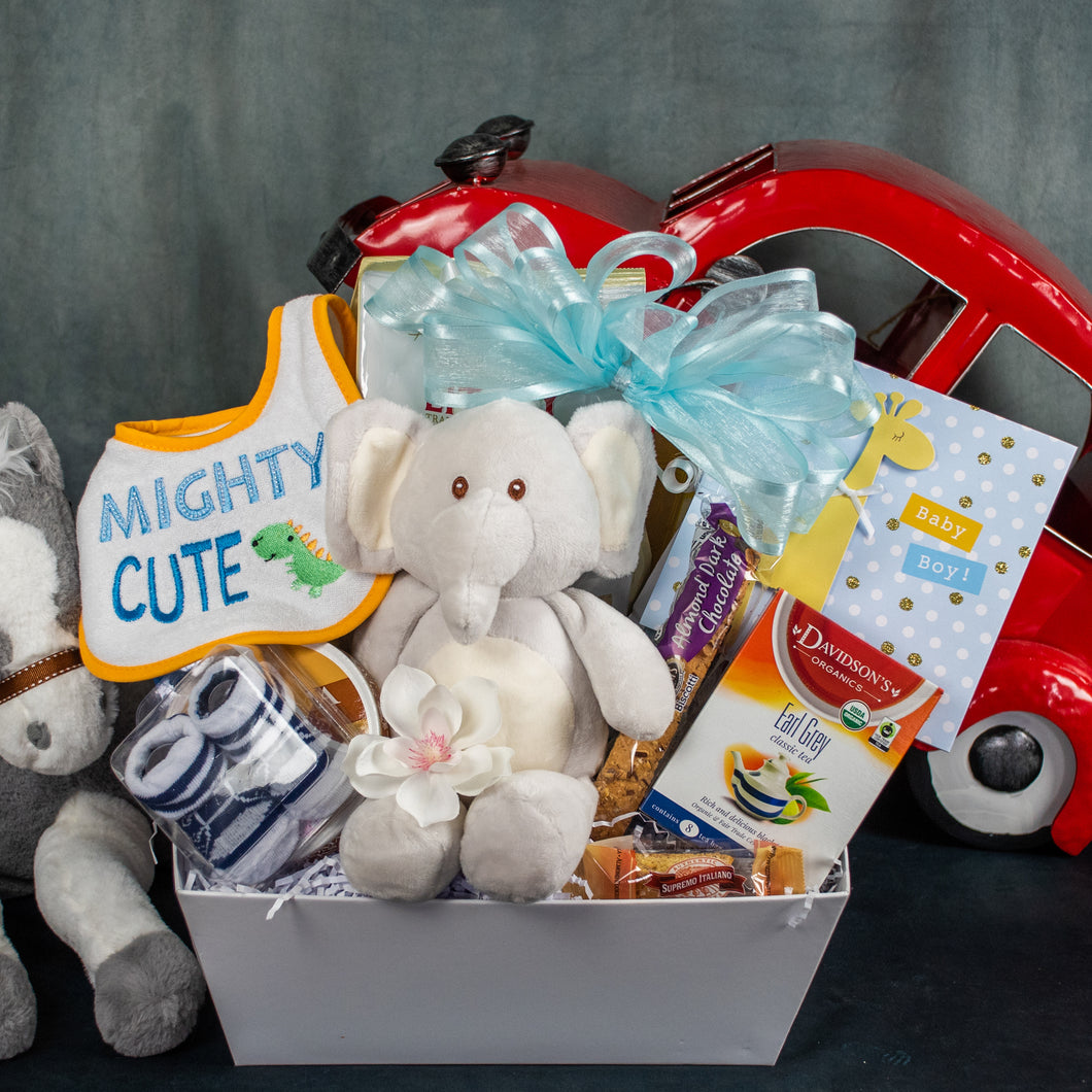 Baby Boy Gift Baskets, Gift Baskets for Babies